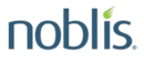 noblis logo